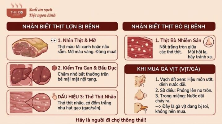 Cách Nhận Biết Thịt Lợn, Thịt Bò, Gà Vịt Bị Bệnh