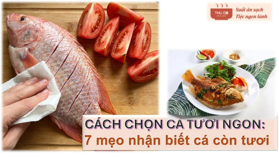 Cách chọn cá tươi ngon